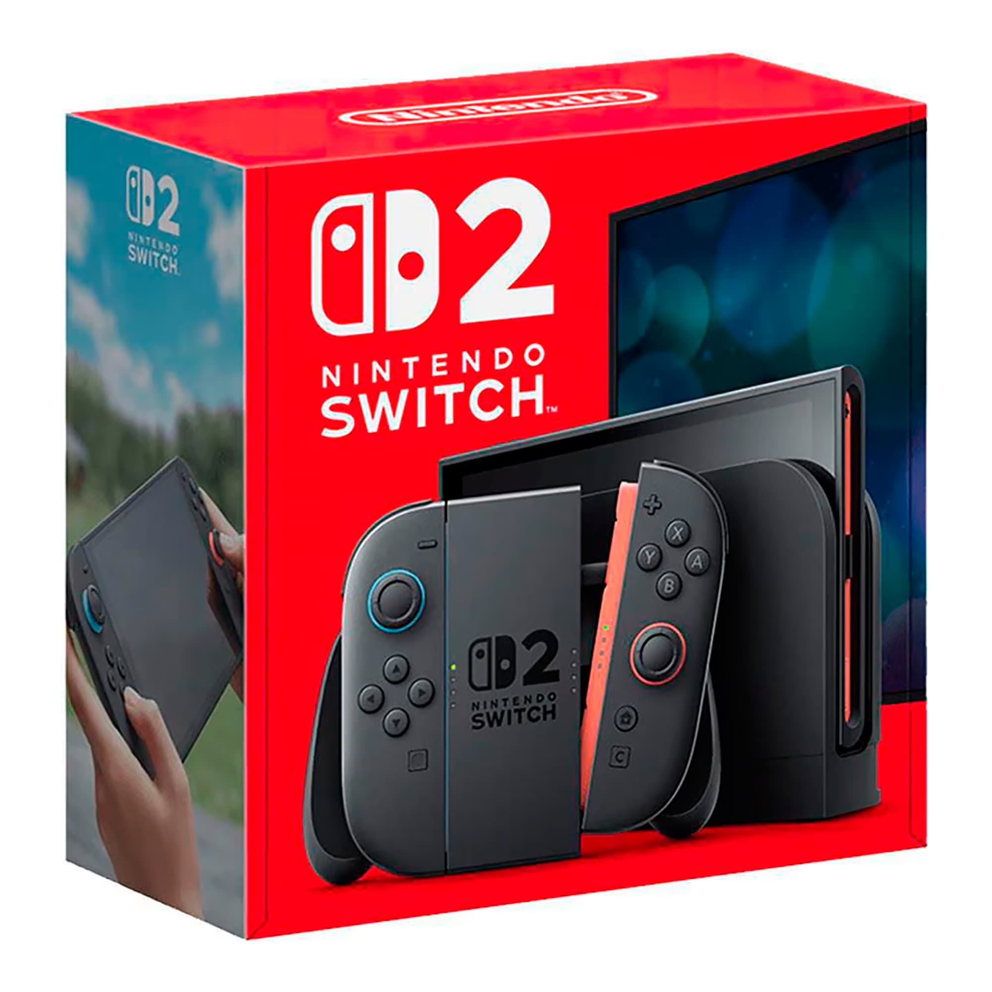 NINSWITCH2GY_11.jpg